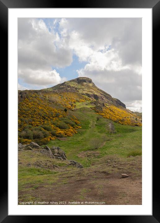Sunshine of Arthur's Seat Framed Mounted Print by Heather Athey