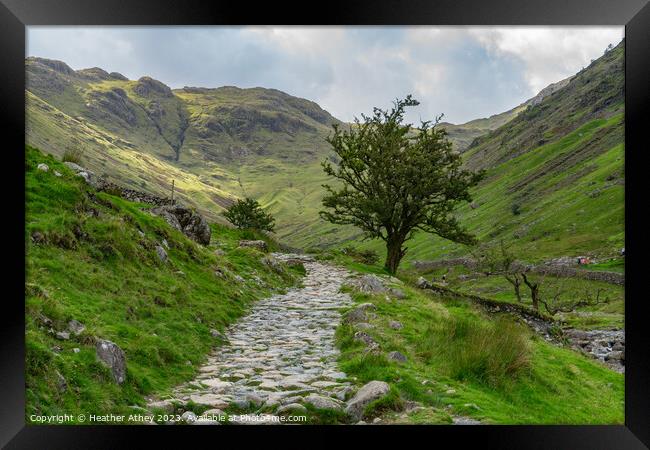 Footpath alongside Grains Gill, Seathwaite Framed Print by Heather Athey