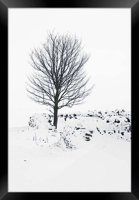 Silent Winter Framed Print by Heather Athey