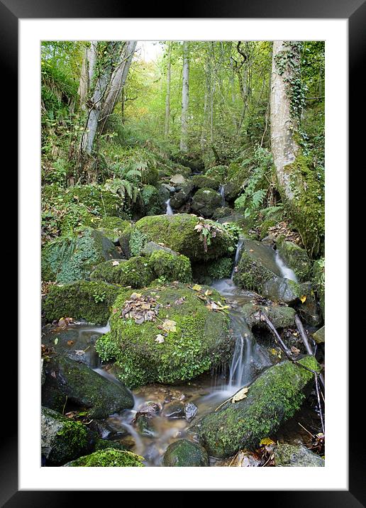 Autumn stream Framed Mounted Print by Heather Athey