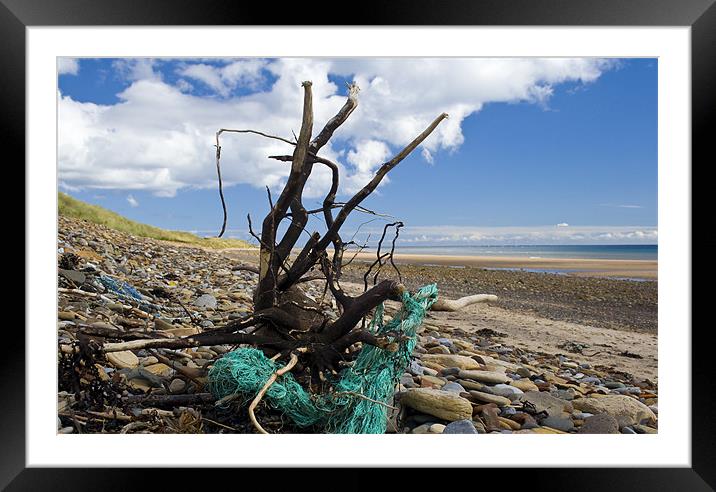 Washed Up Framed Mounted Print by Heather Athey