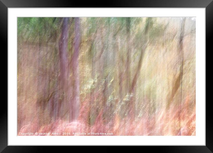 Autumn Woodland II Framed Mounted Print by Heather Athey