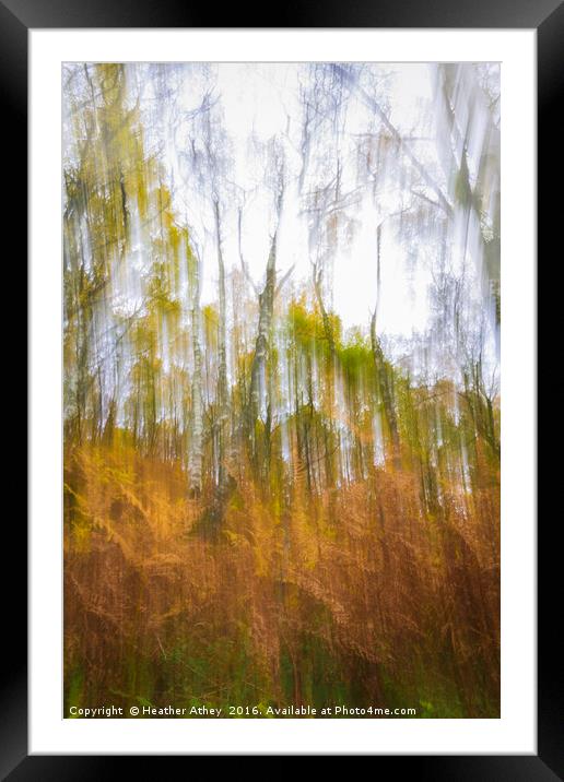 Fall  Framed Mounted Print by Heather Athey