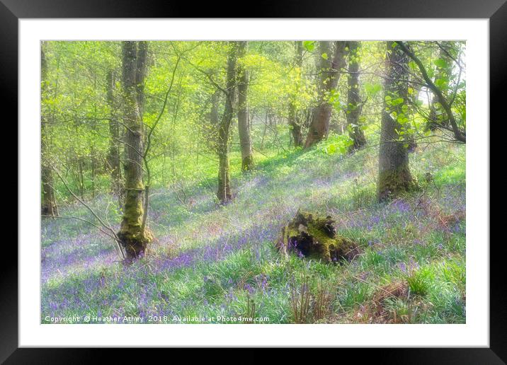 Spring Light Framed Mounted Print by Heather Athey