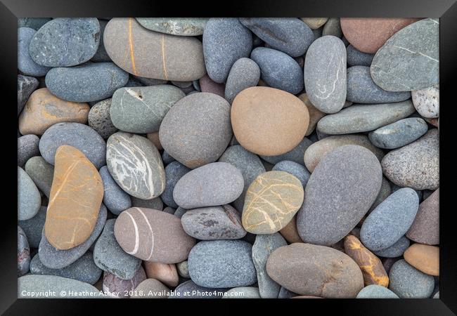 Pebbles on the Beach Framed Print by Heather Athey