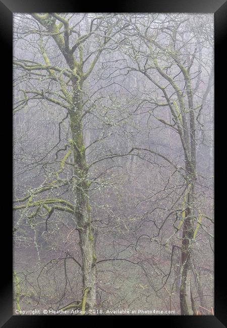 Waiting for Spring Framed Print by Heather Athey