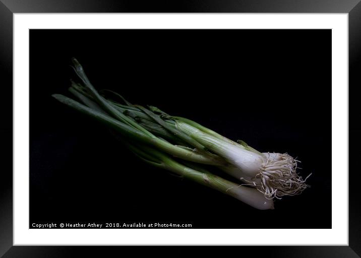 Spring onion Framed Mounted Print by Heather Athey