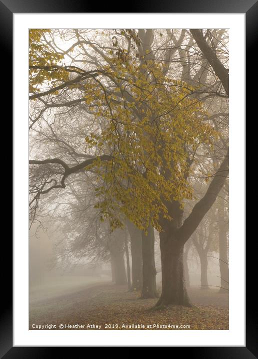 Autumn mists Framed Mounted Print by Heather Athey