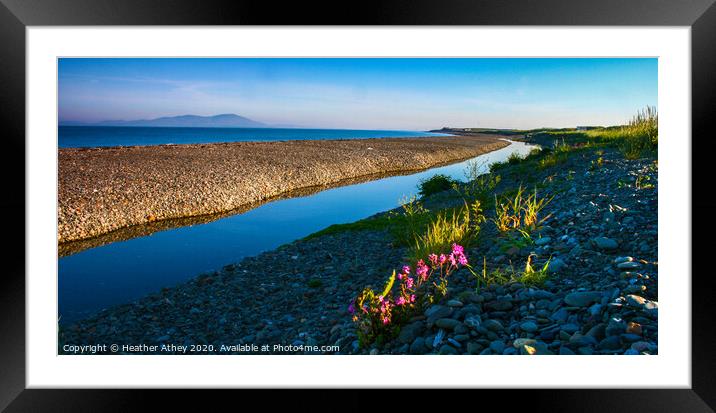 Still Morning on the Solway Framed Mounted Print by Heather Athey
