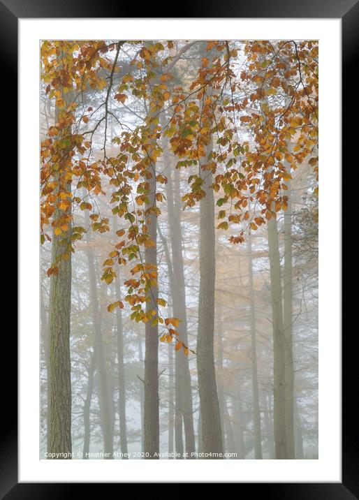 Fall Framed Mounted Print by Heather Athey