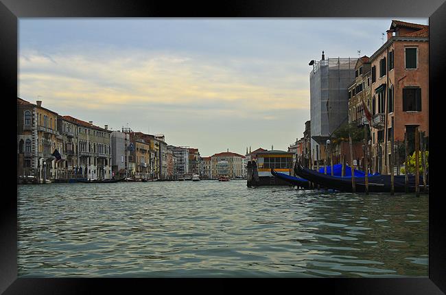 Along the Water in Venice Framed Print by Oliver Walton
