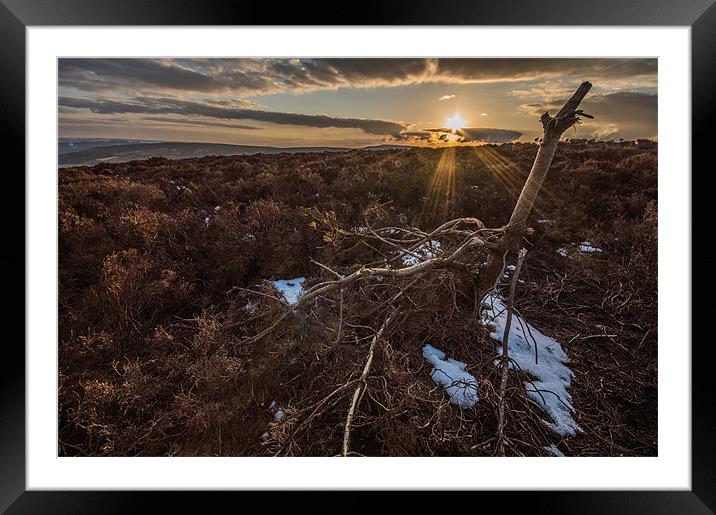 Sunset in the North Yorkshire Moors Framed Mounted Print by Phil Tinkler