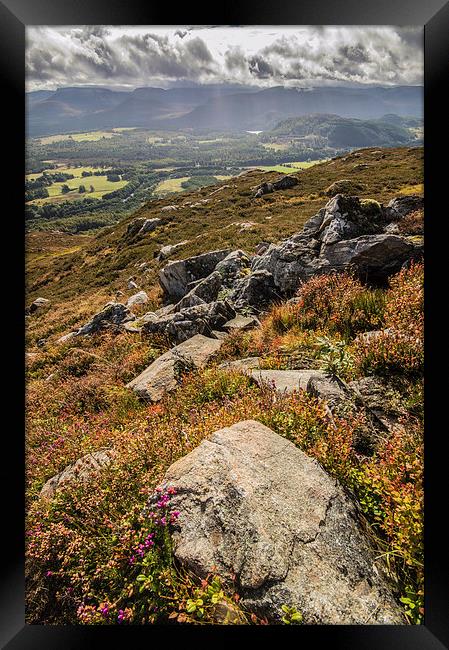 The Cairngorm Mountains from Craigellachie Framed Print by Phil Tinkler