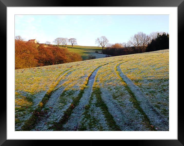 Frosty lines Framed Mounted Print by andrew pearson