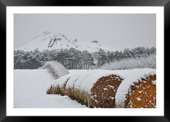 Hay amongst the snow Framed Mounted Print by andrew pearson