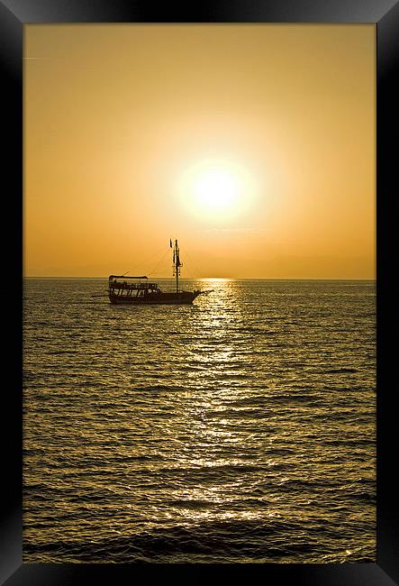 Orange Delight Framed Print by Graeme B