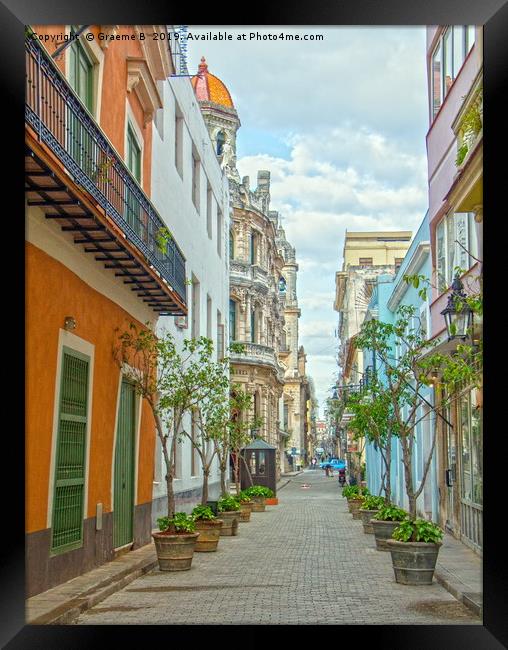 Tree tubs in Havana Street Framed Print by Graeme B