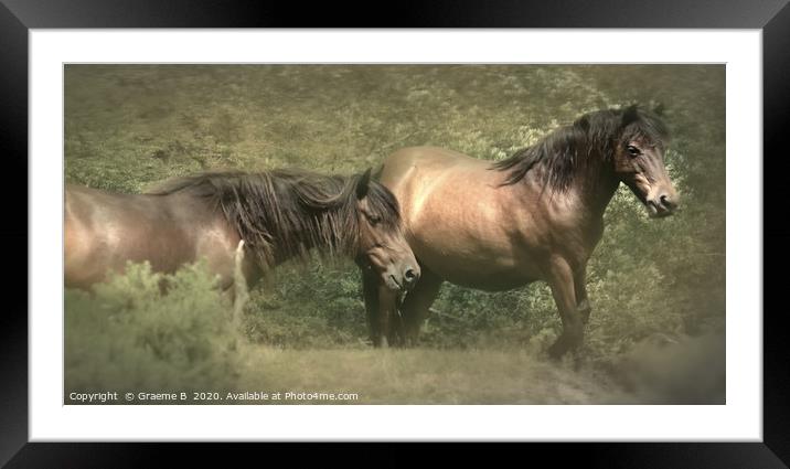 Out From The Bracken Framed Mounted Print by Graeme B
