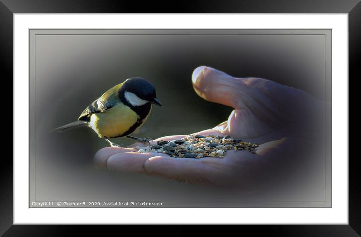 A Bird In The Hand Framed Mounted Print by Graeme B