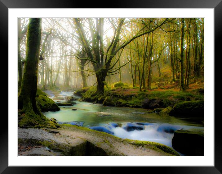 Hazy misty woods Framed Mounted Print by Dave Bell