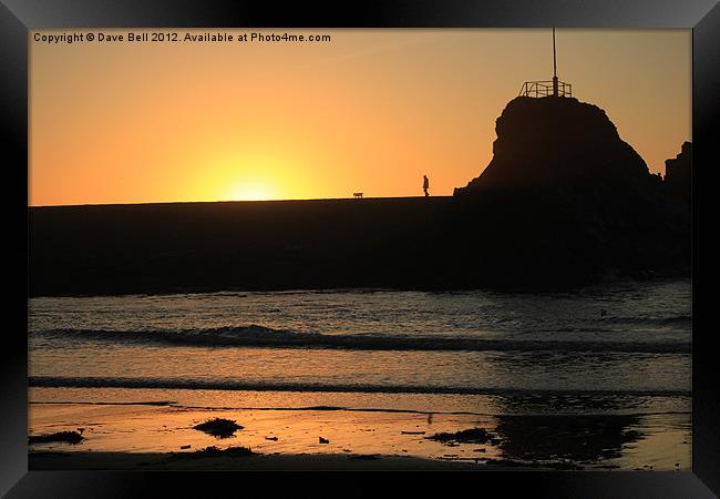 Man and Dog Bude Breakwater Framed Print by Dave Bell