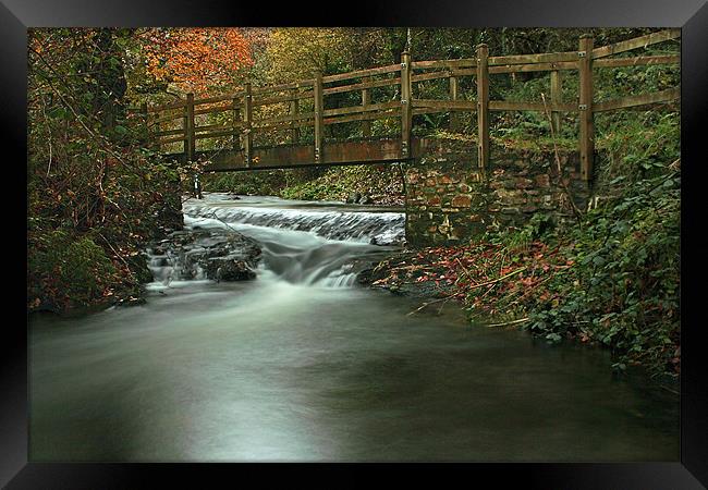 Footbridge Over Pool In Autumn Framed Print by Dave Bell
