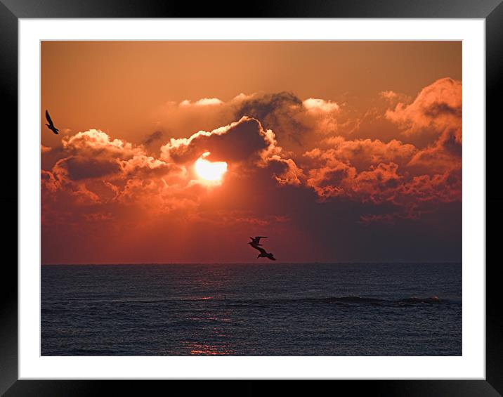 Sunrise on the Sea Framed Mounted Print by Dave Bell