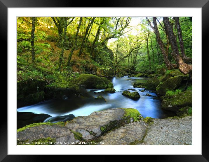 Woodland Water Framed Mounted Print by Dave Bell
