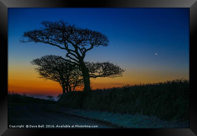 Oak Tree Sunrise Framed Print by Dave Bell