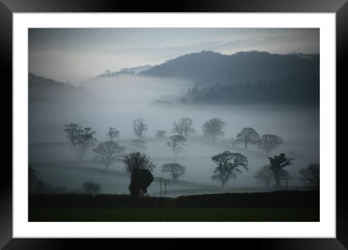 Misty Trees Framed Mounted Print by Dave Bell