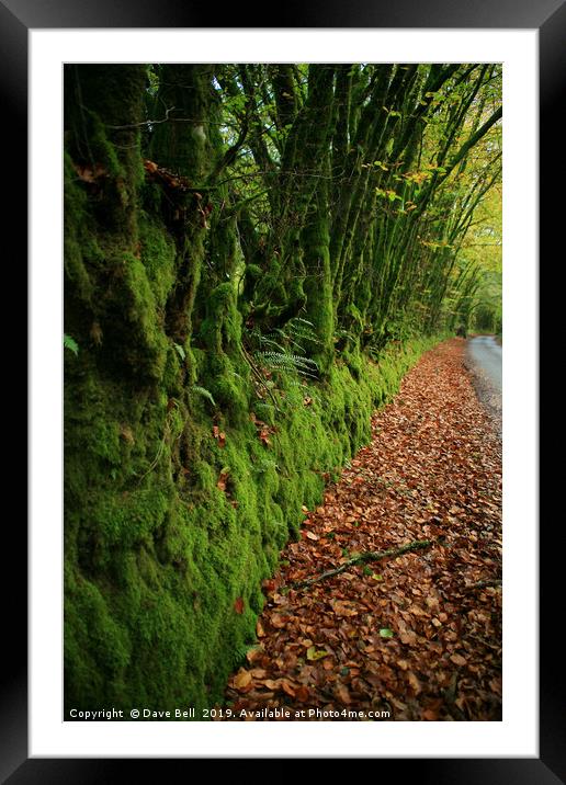 Green and Orange Lane Framed Mounted Print by Dave Bell