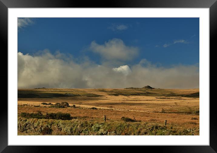 Dartmoor Wilderness Framed Mounted Print by Dave Bell