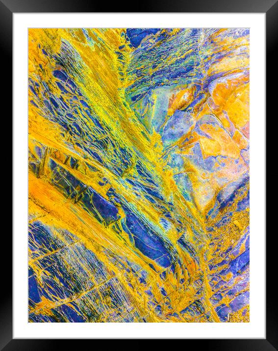 Yellow Veins Framed Mounted Print by Dave Bell
