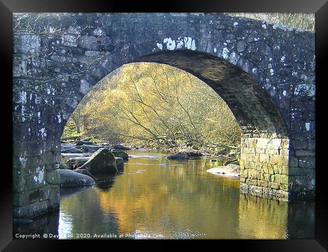 Dartmoor Bridge Arch Framed Print by Dave Bell