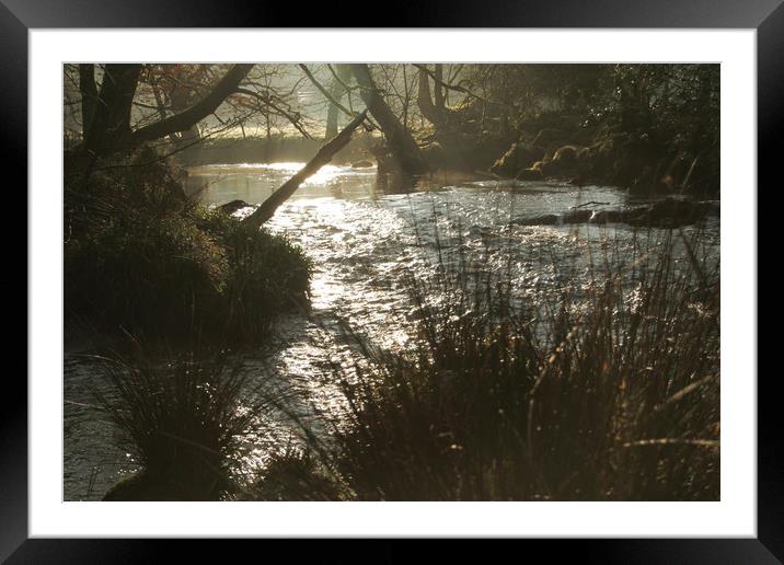 Dark River. Framed Mounted Print by Dave Bell