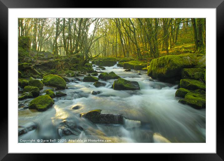 River Rushing Through The Woods Framed Mounted Print by Dave Bell