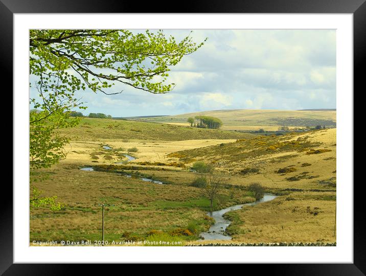 Stream Across The Moor Framed Mounted Print by Dave Bell