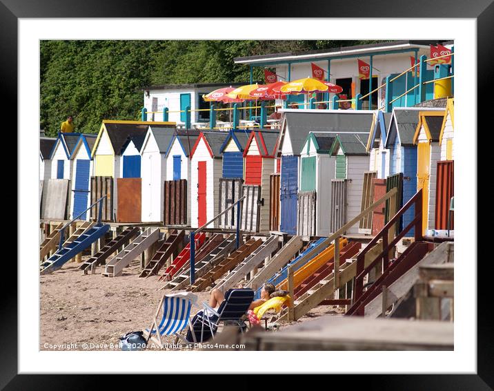 Corbyns Head Torquay. Framed Mounted Print by Dave Bell