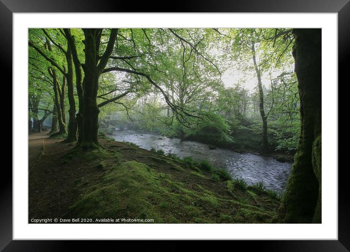 Woodlands and River Framed Mounted Print by Dave Bell