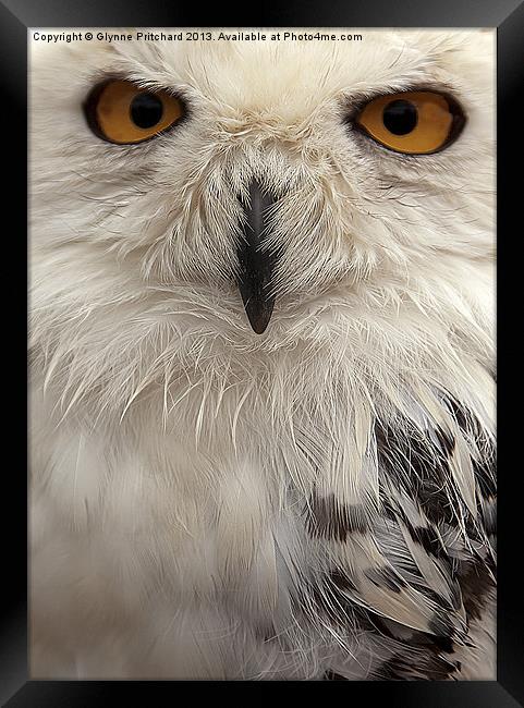 You Looking at me? Framed Print by Glynne Pritchard