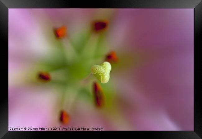 Stigma and Style Framed Print by Glynne Pritchard