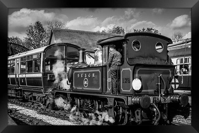 Bluebell Railway Steam Engine Framed Print by Tim Taylor