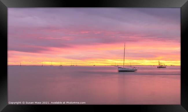 Serene Sunset at Denham north Western Australia Framed Print by Susan Moss