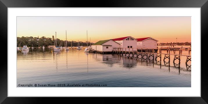 Freshwater Bay Boatsheds Framed Mounted Print by Susan Moss