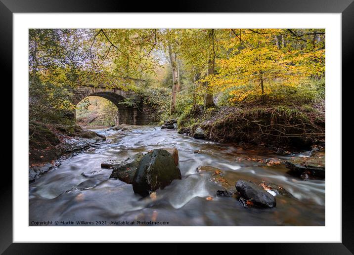 Autumn at May Beck, Sneaton Forest near Whitby Framed Mounted Print by Martin Williams