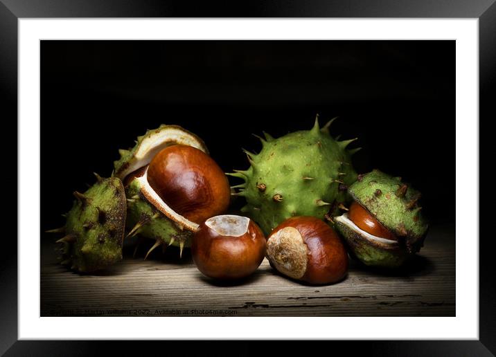 Conkers Framed Mounted Print by Martin Williams
