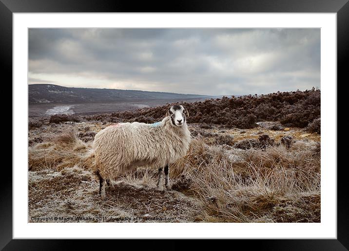 It's Cold on Them Moors. Framed Mounted Print by Martin Williams