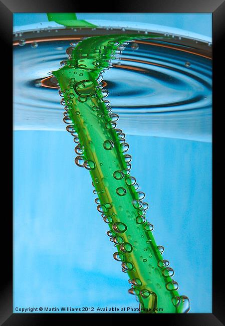 Green Straw Framed Print by Martin Williams
