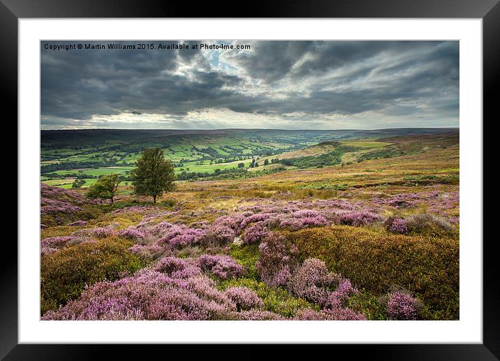  Across to Farndale Framed Mounted Print by Martin Williams
