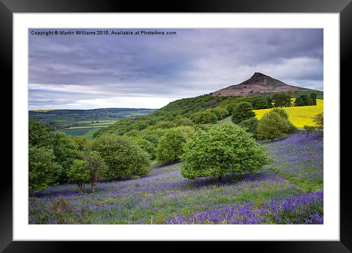 Bluebells at Roseberry Topping Framed Mounted Print by Martin Williams